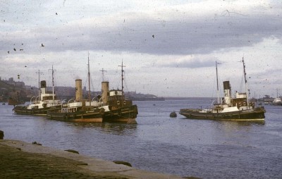 Wearmouth--Eastsider--Northsider-01.jpg