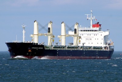 HONGXIN OCEAN 040713a.JPG