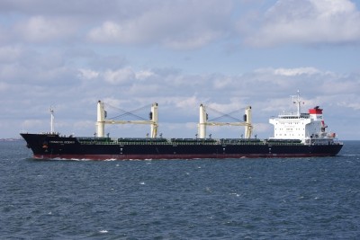 HONGXIN OCEAN 040713d.JPG