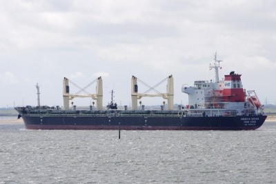 HONGXIN OCEAN 040713e.JPG