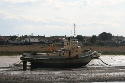 BRIDGET1963atShoreham2008.jpg