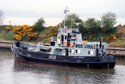 LOYAL WATCHER (2).jpg