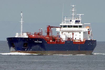 KING FISHER 130813b.JPG