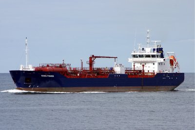 KING FISHER 130813d.JPG