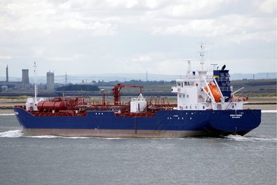 KING FISHER 130813g.JPG