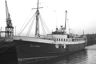celticsurveyor281176x2.jpg