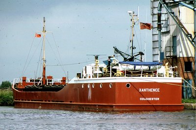 XANTHENCE 270682a.jpg