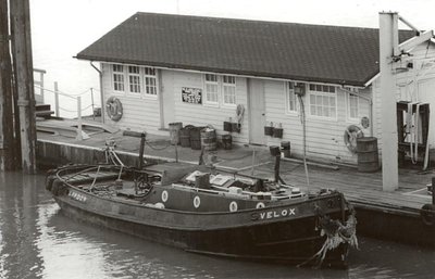 VELOX1949.jpg
