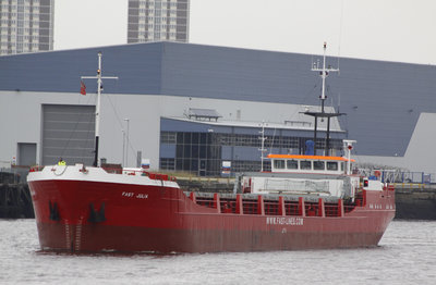 12) Fast Julia (19.09.13).jpg