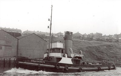 CULLERCOATS1898C.jpg