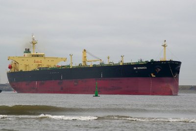 BM BONANZA 030408c.JPG