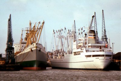 DITTE SKOU-IASON 0186a.jpg