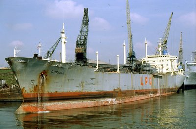 DISCARIA 260581b.jpg