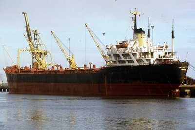 DIMITRIS P 250886a.jpg