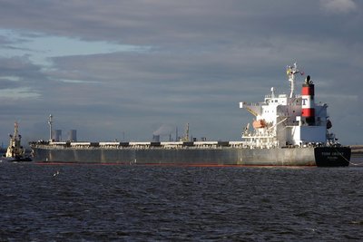 TORM ORIENT 261013d.JPG