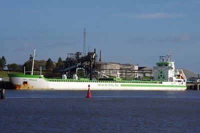 CFL PROUD 271013a.JPG