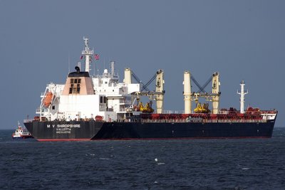 SHROPSHIRE 311013g.JPG