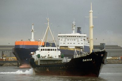 DANIA 070390a.jpg