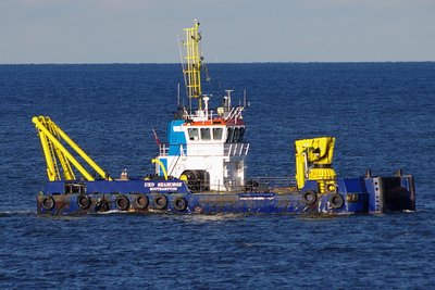 UKD SEAHORSE 091113a.JPG