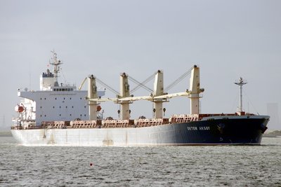 OKTEM AKSOY 131113b.JPG