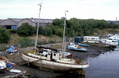 VIKING Ex Fire King 240893a.jpg