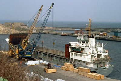 KARINA KOKOEVA 150404a.jpg