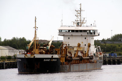 15) Sand Heron (14.06.12).jpg