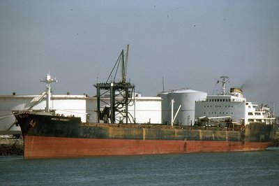 IRENES SINCERITY 140579a.jpg