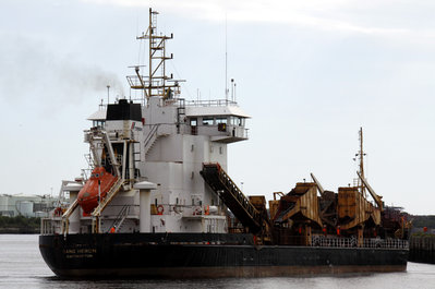 17) Sand Heron (14.06.12).jpg