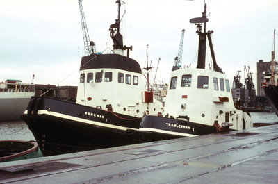 Workman & Trawlerman, KG Dock Hull, May 1966_1.jpg