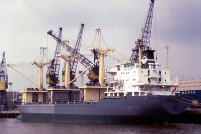 BAMENDA-PALMxaw.jpg