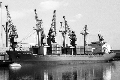 bamenda-palm230382x1.jpg