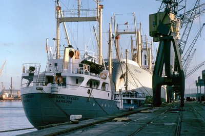 BARBARA BREUERxaw.jpg