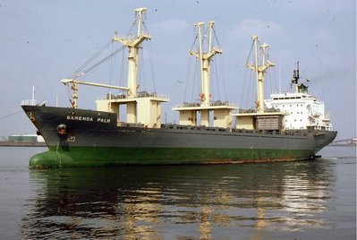 BAMENDA PALM 020482a.jpg