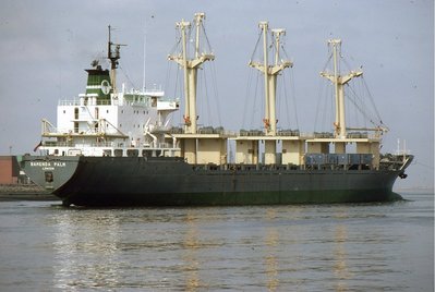 BAMENDA PALM 140482a.jpg