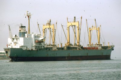 NEPTUNE IOLITE 220683a.jpg