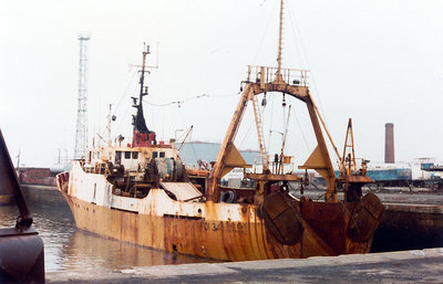 Luneda (1).jpg