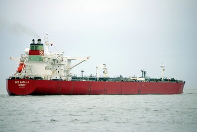 SKS SATILLA 281113c.JPG