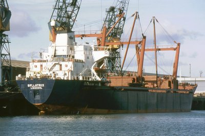 BELLATRIX 230995a.jpg