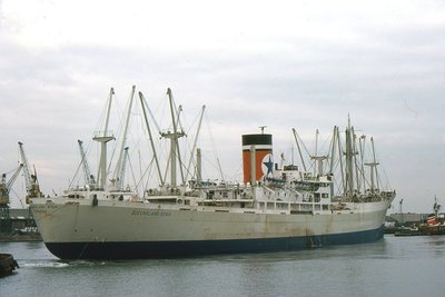 QUEENSLAND STAR 181077b.jpg