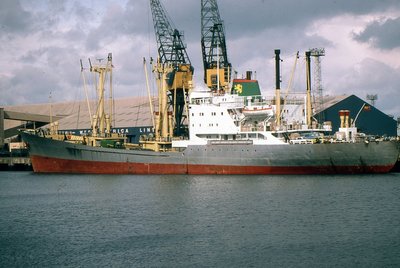 QUEEN OF SHEEBA 140383a.jpg