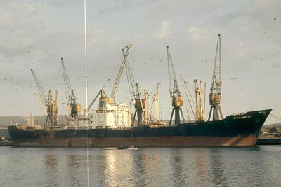 BORDABENDIxaw.jpg