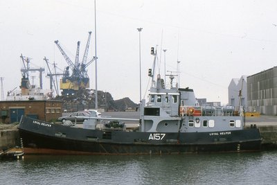 LOYAL HELPER 250593a.jpg