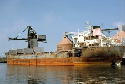 CAPE RACE 180679a.jpg (275.96 KiB) Viewed 5742 times CAPE RACE 180679a.jpg