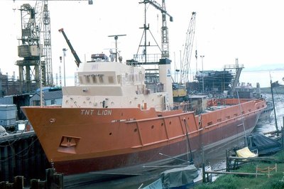 TNT LION 110683a.jpg