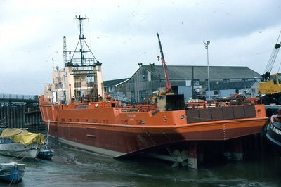 TNT LION 110683b.jpg