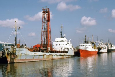 WHITETHORN 030486a.jpg