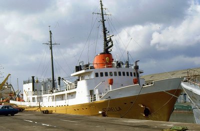 STARELLA 030486a.jpg