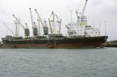 NOVIA 240877a.jpg