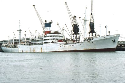 MASTURA 240877a.jpg